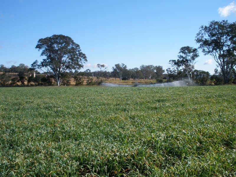 749 Burnett Highway, Nanango QLD 4615