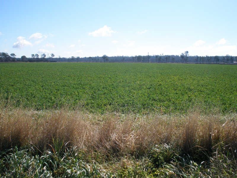 749 Burnett Highway, Nanango QLD 4615