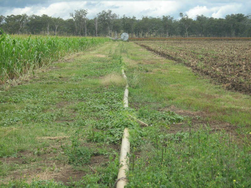 749 Burnett Highway, Nanango QLD 4615