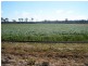 749 Burnett Highway, Nanango QLD 4615