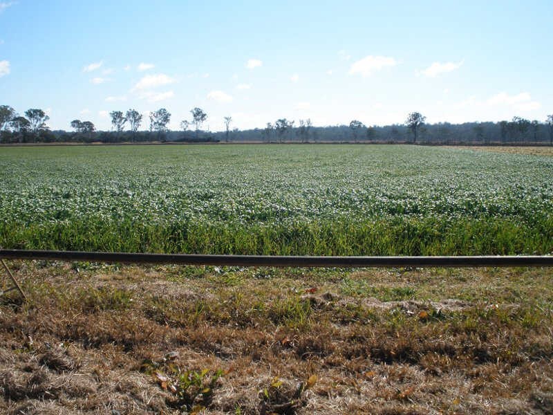 749 Burnett Highway, Nanango QLD 4615