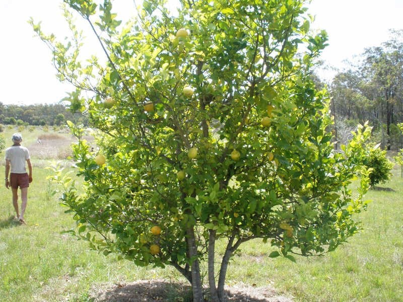 Lot 1 Wilsons Road, Gordonbrook QLD 4610