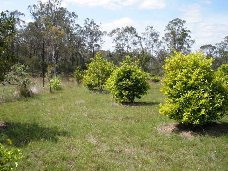 Lot 1 Wilsons Road, Gordonbrook QLD 4610