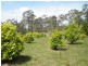 Lot 1 Wilsons Road, Gordonbrook QLD 4610