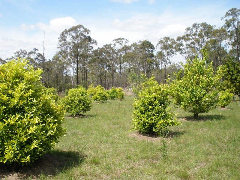 Lot 1 Wilsons Road, Gordonbrook QLD 4610