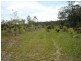 Lot 1 Wilsons Road, Gordonbrook QLD 4610