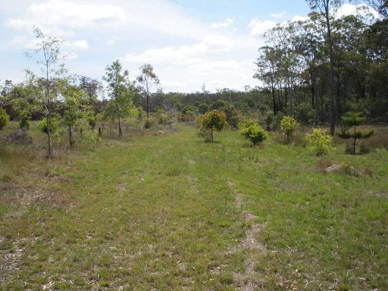Lot 1 Wilsons Road, Gordonbrook QLD 4610