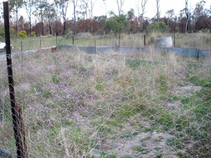 Lot 1 Wilsons Road, Gordonbrook QLD 4610