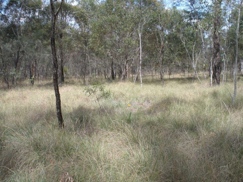 Lot 1 Wilsons Road, Gordonbrook QLD 4610