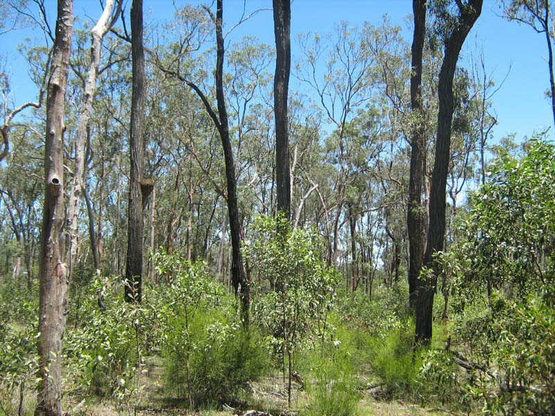 Lot 17 Burkes Road, Booie QLD 4610