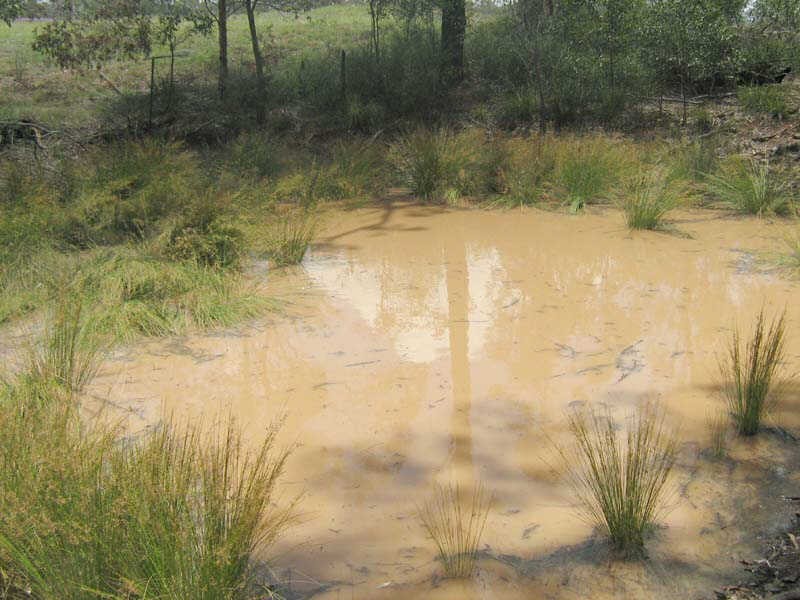 Lot 17 Burkes Road, Booie QLD 4610