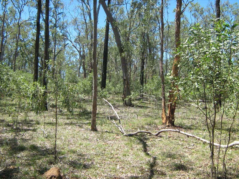 Lot 17 Burkes Road, Booie QLD 4610