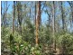 Lot 17 Burkes Road, Booie QLD 4610
