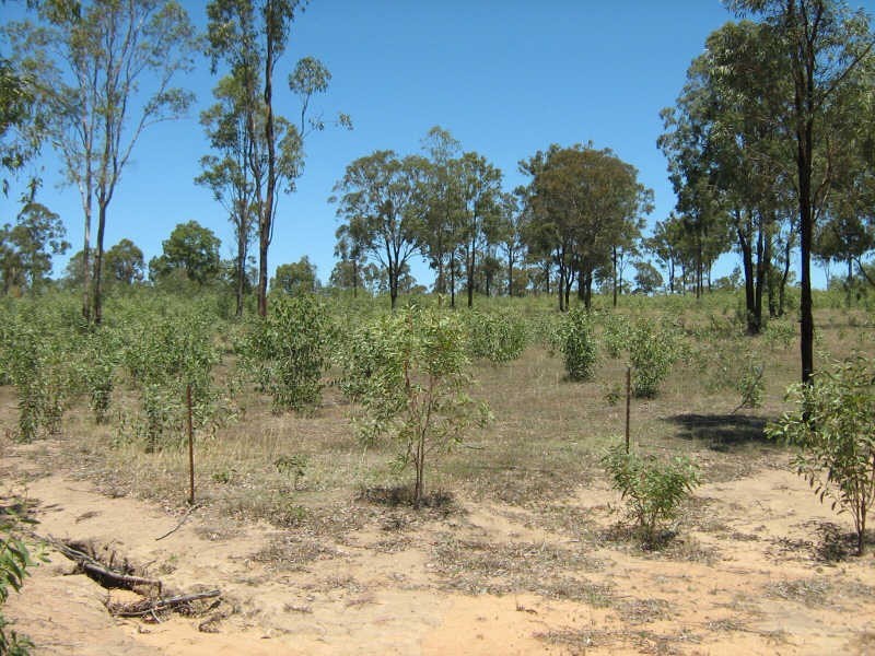 2 Coven Road, Durong QLD 4610