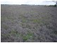 Lot 58 Byee Road, Wheatlands QLD 4606