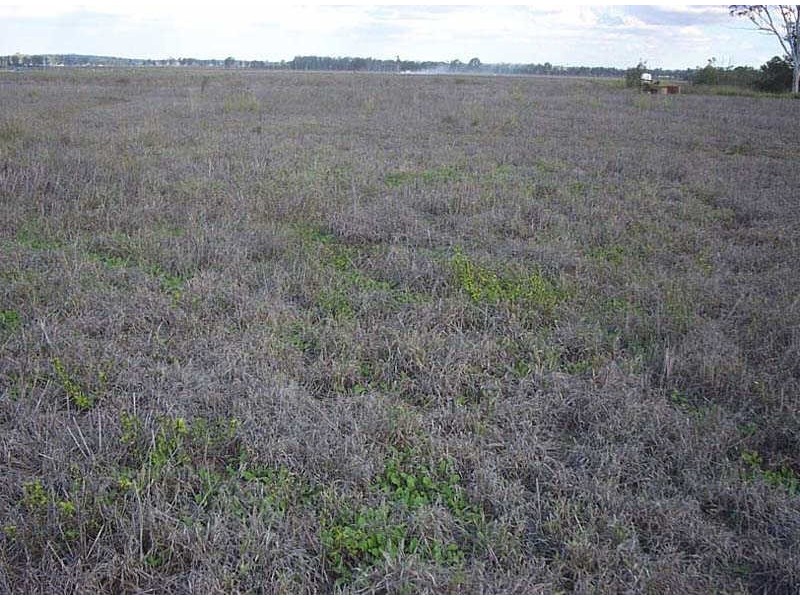 Lot 58 Byee Road, Wheatlands QLD 4606