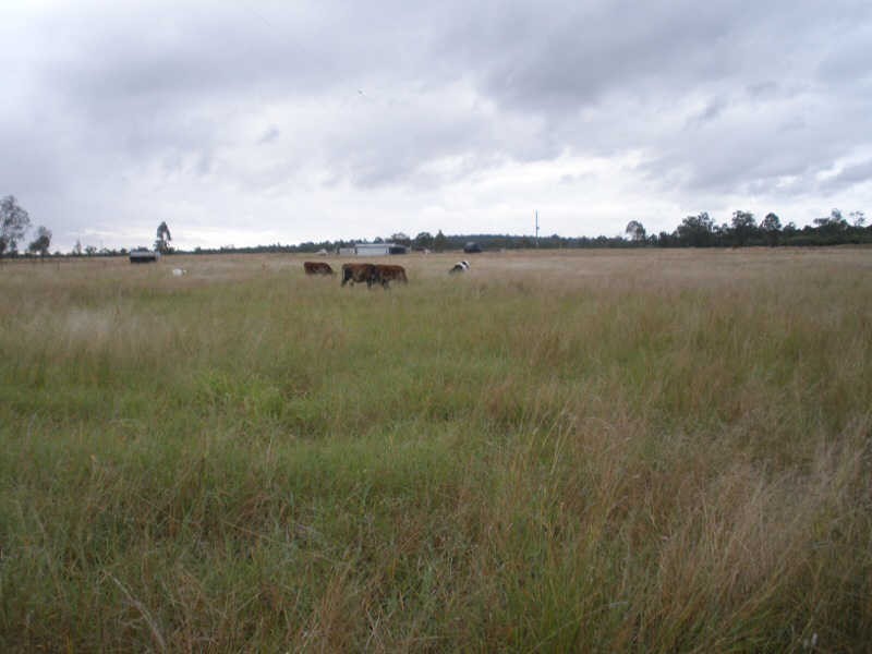 297 McPhee Road, Durong QLD 4610