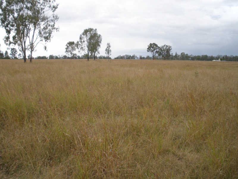 297 McPhee Road, Durong QLD 4610
