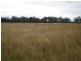 297 McPhee Road, Durong QLD 4610