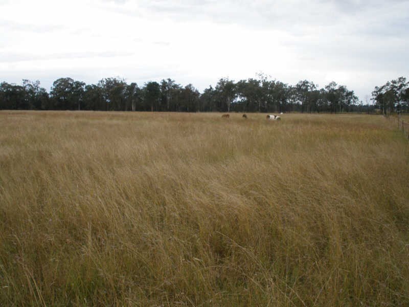 297 McPhee Road, Durong QLD 4610