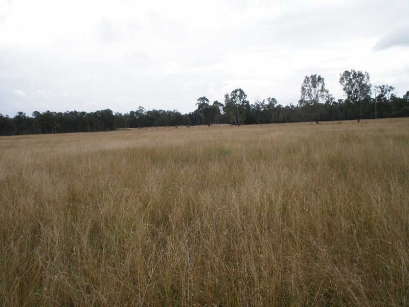 297 McPhee Road, Durong QLD 4610