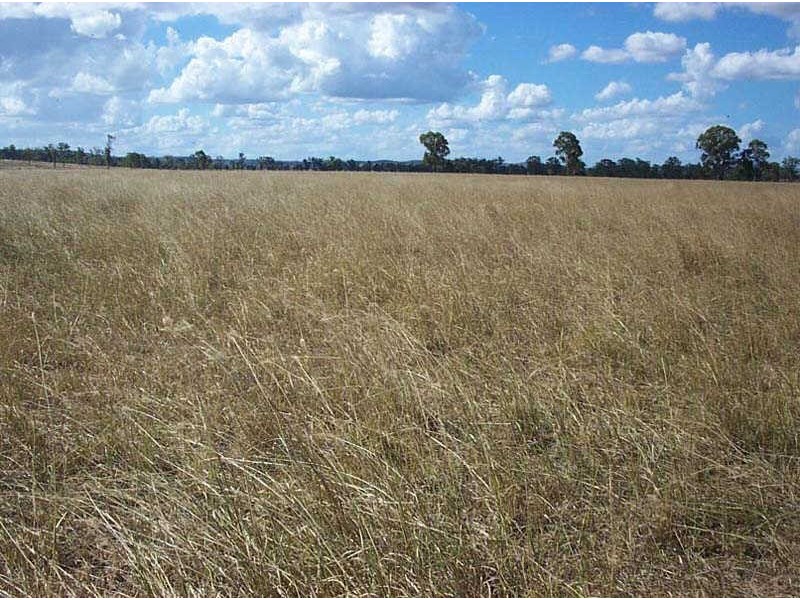 114 Wilsons Road, Windera QLD 4605