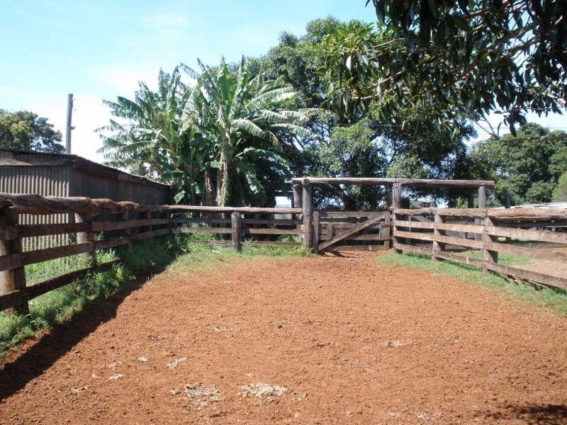 162 Etherington Road, Stonelands QLD 4612