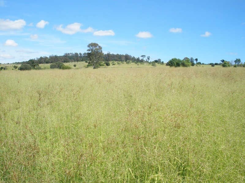 162 Etherington Road, Stonelands QLD 4612