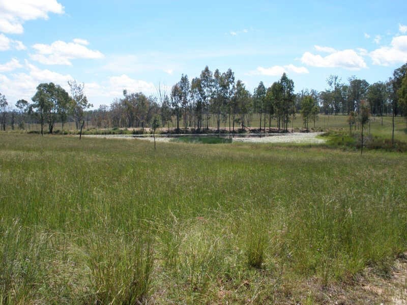 162 Etherington Road, Stonelands QLD 4612