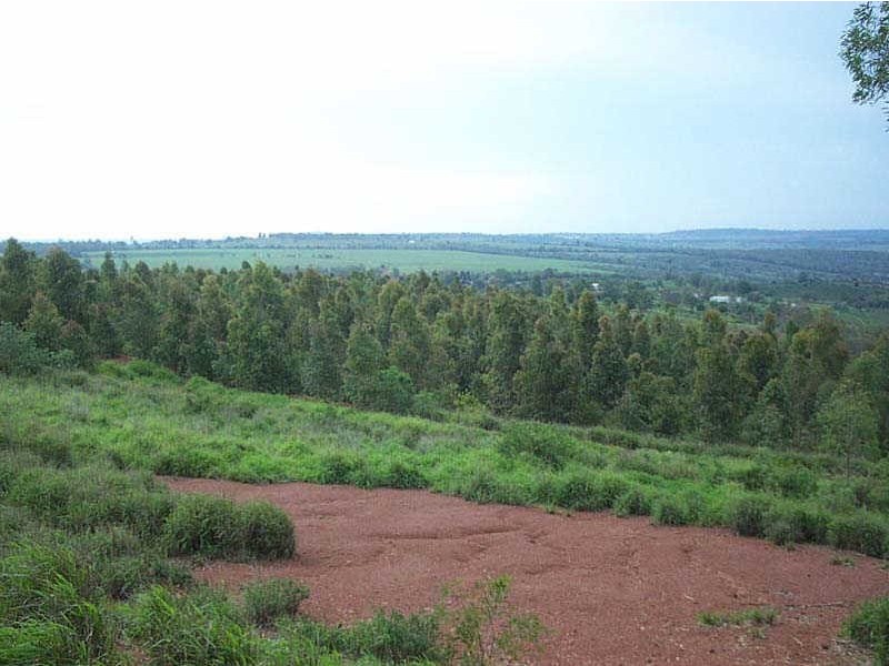 Lot 8 Muller Road, Coolabunia QLD 4610