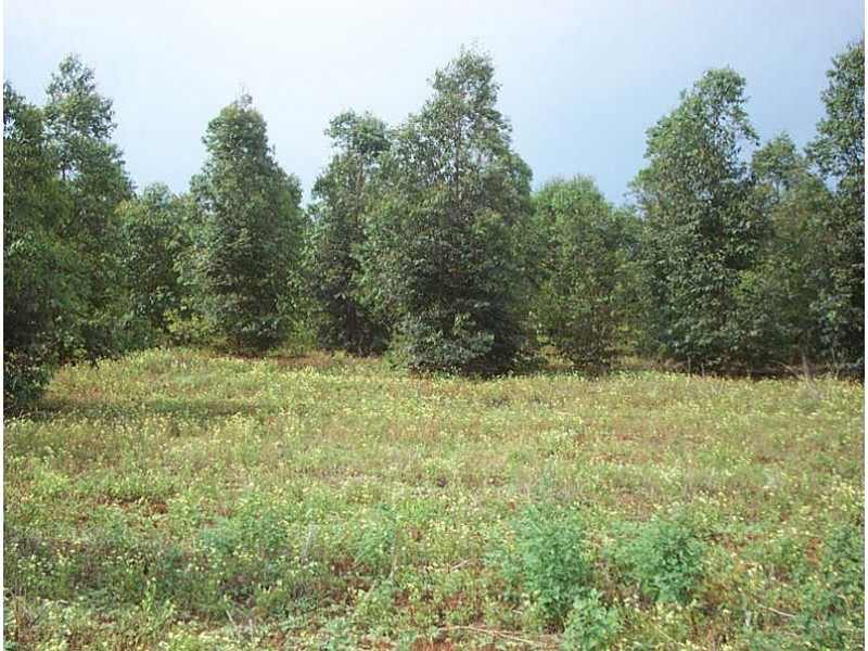 Lot 8 Muller Road, Coolabunia QLD 4610