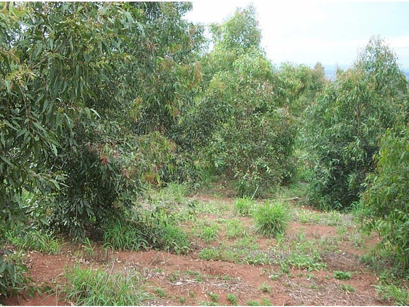 Lot 8 Muller Road, Coolabunia QLD 4610
