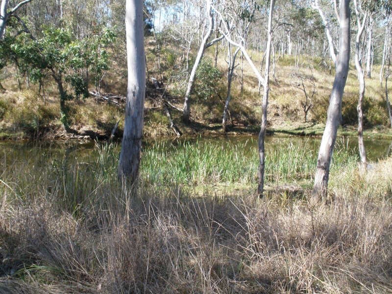Lot 66 Reagon Road, Hodgleigh QLD 4610
