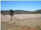 Lot 66 Reagon Road, Hodgleigh QLD 4610