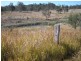Lot 66 Reagon Road, Hodgleigh QLD 4610