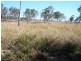 Lot 66 Reagon Road, Hodgleigh QLD 4610