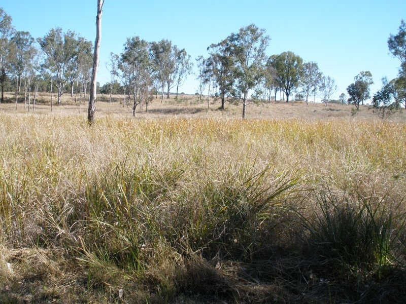 Lot 66 Reagon Road, Hodgleigh QLD 4610