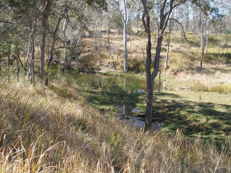 Lot 66 Reagon Road, Hodgleigh QLD 4610