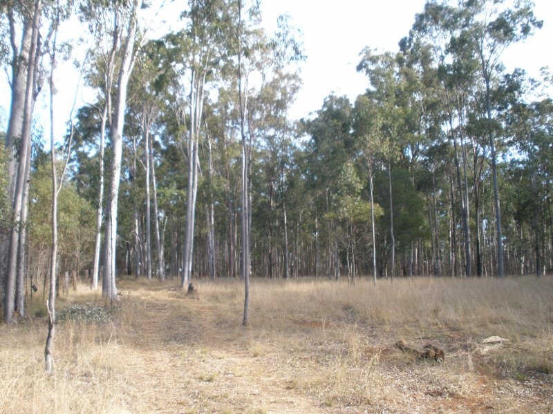 2/3/92 Ryans Road, Wondai QLD 4606