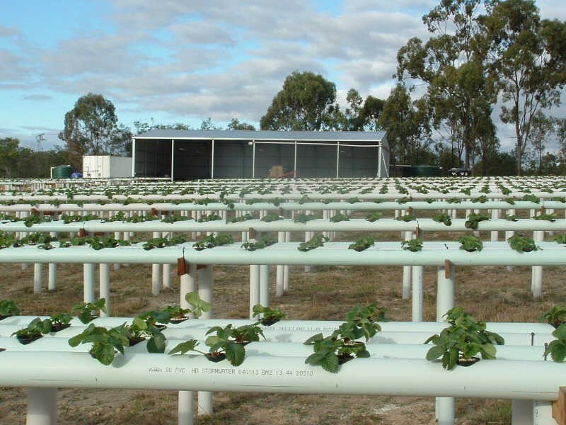 35 Evans Road, Ballogie QLD 4610