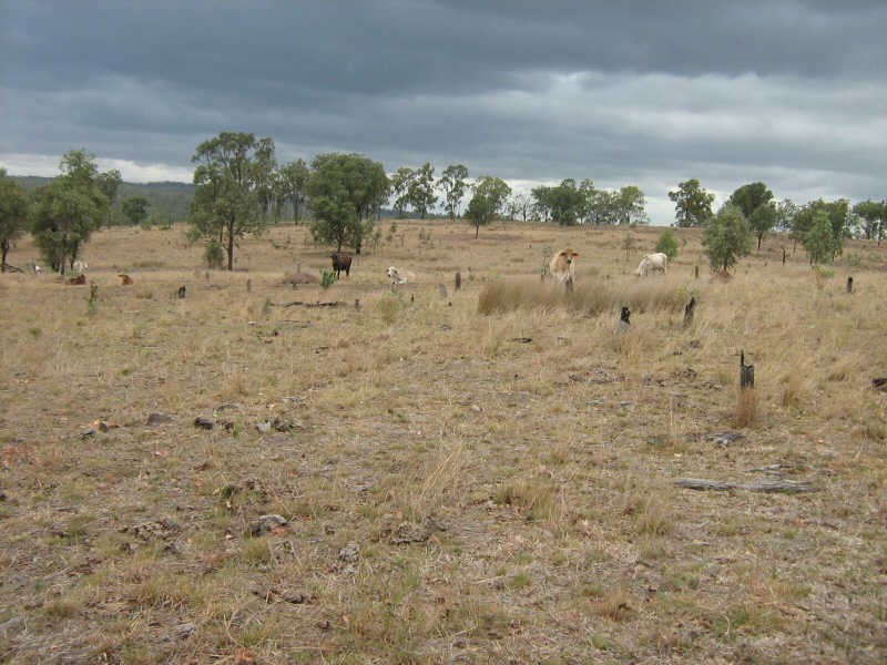 Lot 36 Kinleymore Road, Kinleymore QLD 4613