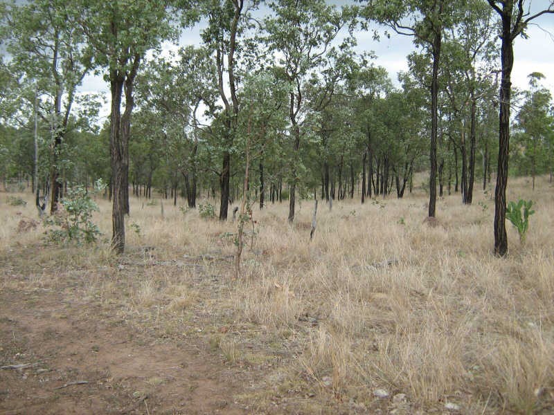 Lot 36 Kinleymore Road, Kinleymore QLD 4613