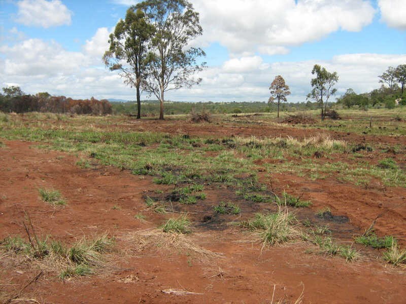 Lot 200 Minmore Road, Wattle Grove QLD 4610