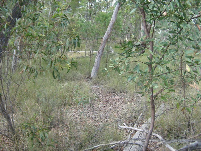 Lot 11 Curlew Road, Ballogie QLD 4610