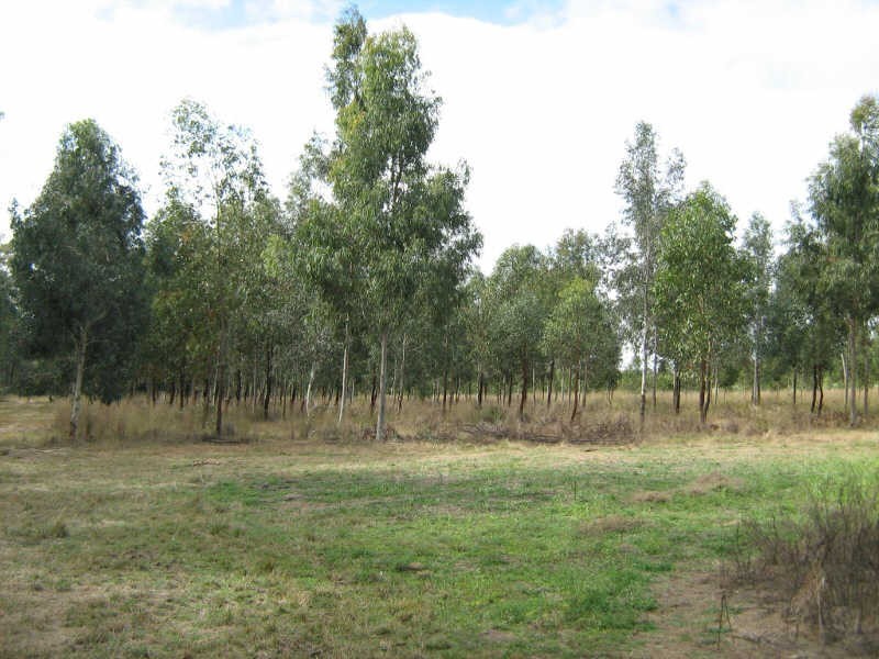 Lot 11 Curlew Road, Ballogie QLD 4610