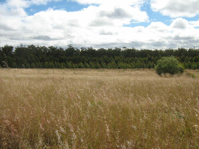 Lot 11 Curlew Road, Ballogie QLD 4610