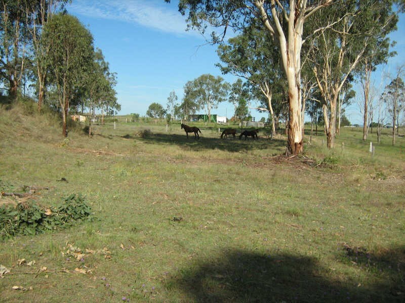 219 Mt Hope Road, Wattle Camp QLD 4615