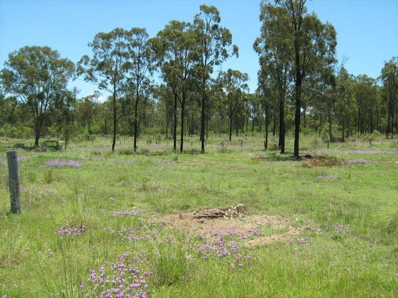 219 Mt Hope Road, Wattle Camp QLD 4615