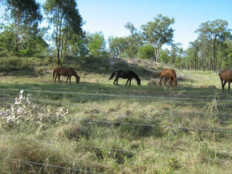 219 Mt Hope Road, Wattle Camp QLD 4615