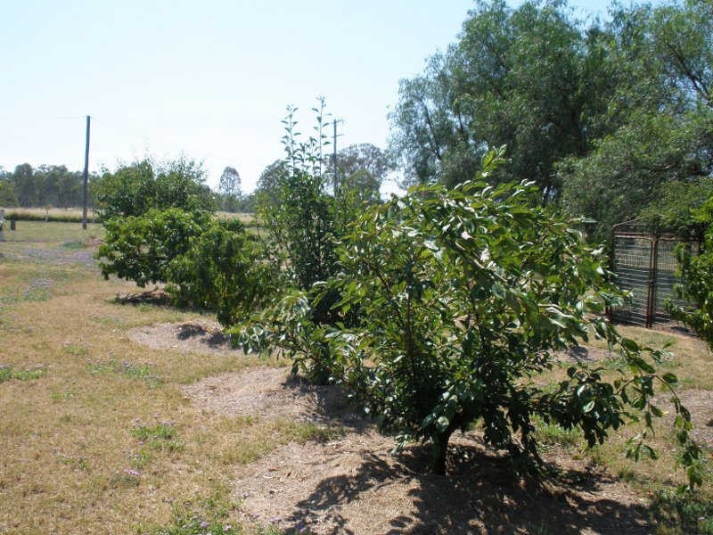 147 Toomeys Road, Taabinga QLD 4610